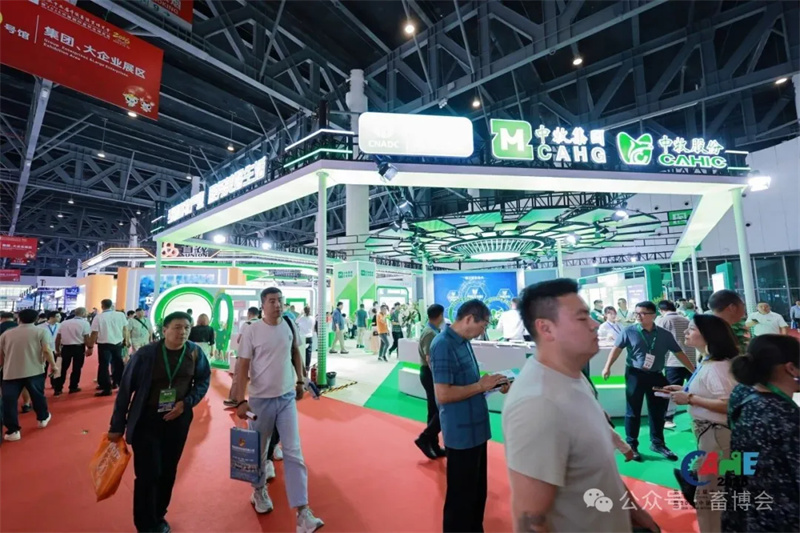 20260519091448795 1277星际电子(中国游)官方游戏网址