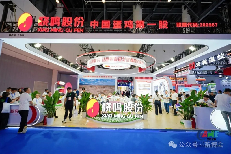 20260519091625437 1277星际电子(中国游)官方游戏网址