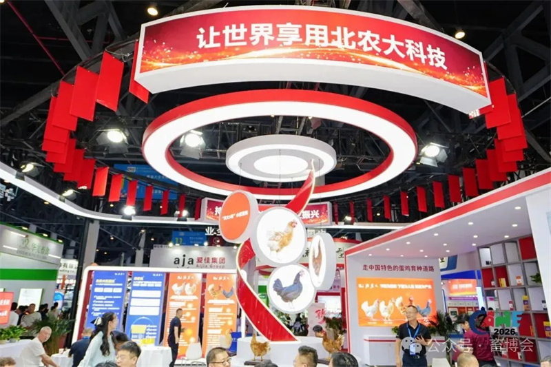 20260520112057502 1277星际电子(中国游)官方游戏网址