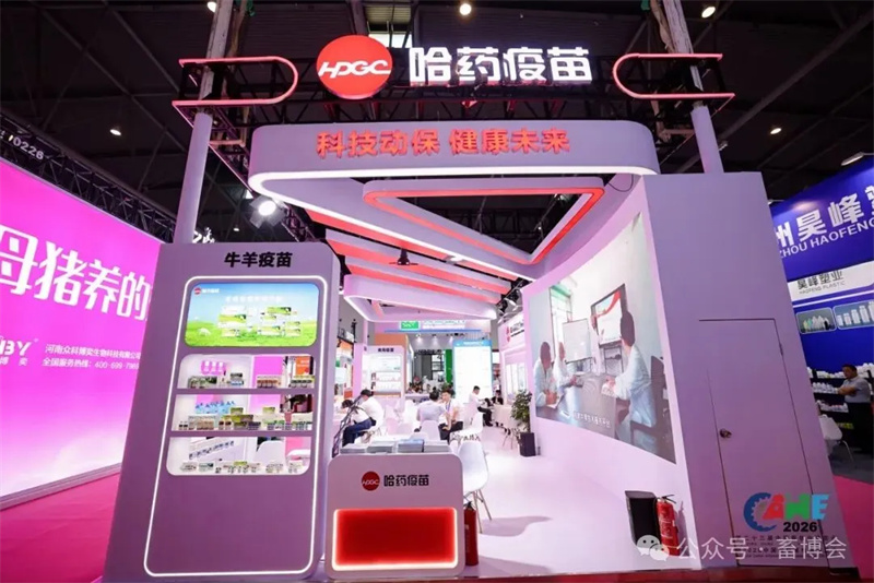 20260520112513958 1277星际电子(中国游)官方游戏网址