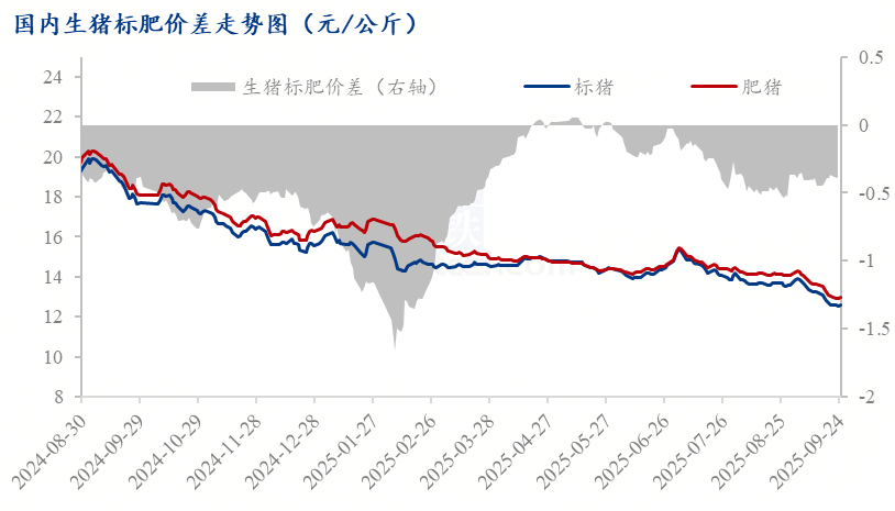 202509262105347612 202509262105347612