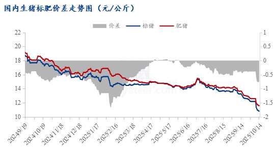 202510150822459365 202510150822459365