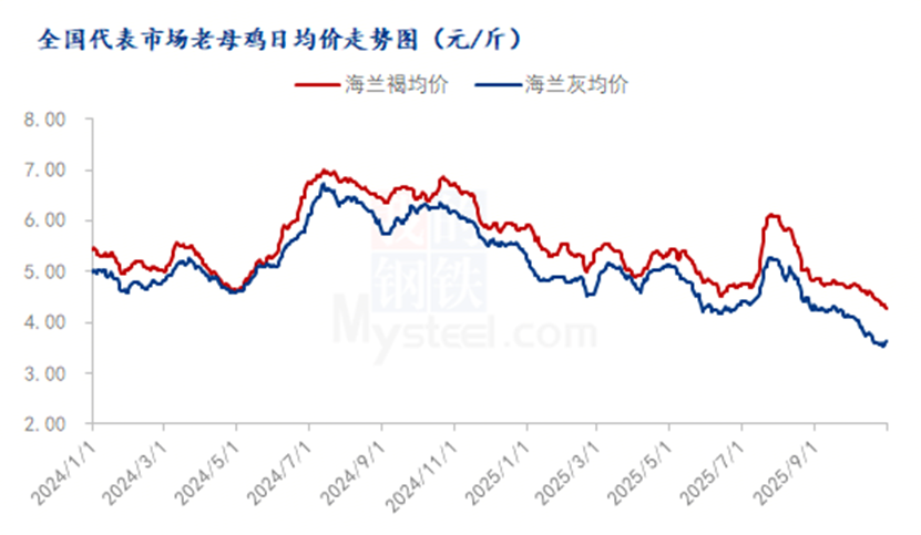 202511050905336675 202511050905336675