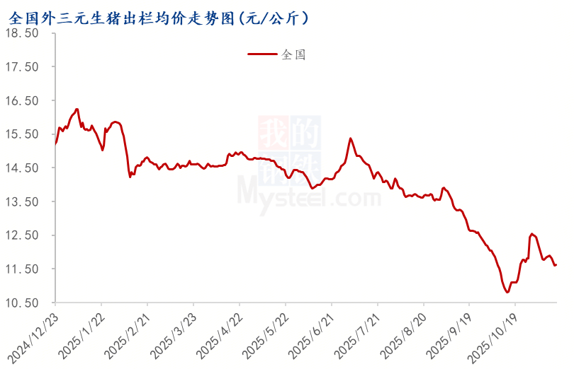 202511161434257594 202511161434257594