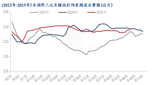 202511232305418704 202511232305418704